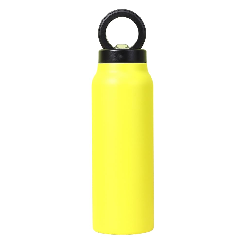 Insulated magnetic water bottle